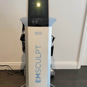 2019 BTL AESTHETICS EMSCULPT